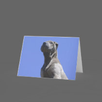 Man's Best Friend... cards by beverlytazangel Man's Best Friend... cards