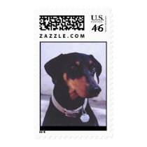 man's best friend  II postage