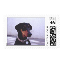 man's best friend postage