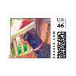 Man's Best Friend Postage Stamp