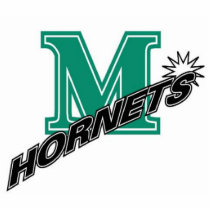 mansfield_hornets photo sculptures