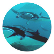 Manta Invasion stickers by rudcpr Manta Invasion stickers