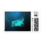 Manta Ray Postage