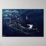 Manta Ray Posters
