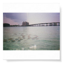 MANTA_RAYS_PASS_ON_CRAB_ISLAND_DESTIN_FLORID posters
