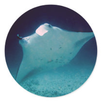 Manta stickers by rudcpr Manta stickers