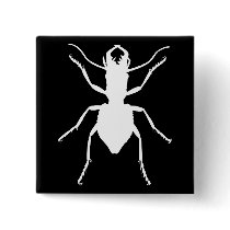 Manticora tuberculata pinback button