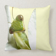 Mantid Throw Pillows