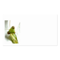 Mantids Business Card Templates