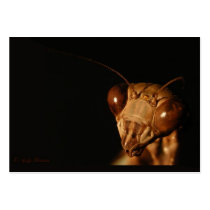Mantis 15 ~ ATC business cards by Andy2302 Mantis 15 ~ ATC business cards