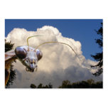 Mantis and Cloud ~ ATC business cards