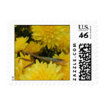 Mantis & Chrysanthemums - Postage #2