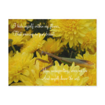 Mantis & Chrysanthemums - Postcard #2