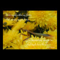 Mantis & Chrysanthemums - Poster #2 posters