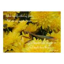 Mantis & Chrysanthemums - Poster #2 posters