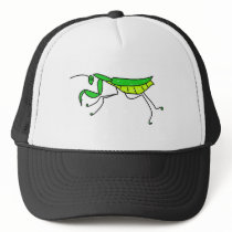mantis hats by prawny mantis hats