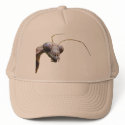 Mantis ~ hat