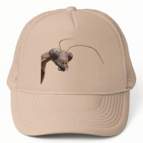Mantis ~ hat by Andy2302 Mantis ~ hat