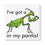 Mantis in my Pantis! magnets
