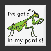 Mantis in my Pantis! magnets
