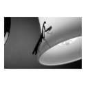 Mantis posters by lkcarruth Mantis posters