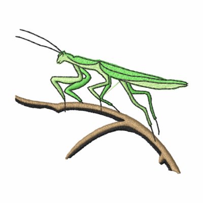 Mantis religiosa chaqueta Mantis religiosa chaqueta