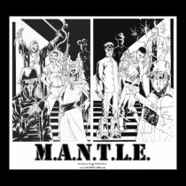 Mantle Poster posters