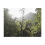 Manu National Park Post Card