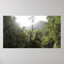 Manu National Park Print