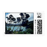 Manuka Shrubs And Beach, Stewart Island Postage Stamp