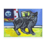 Manx cat senses smiling moon post cards