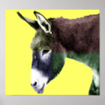 Many Colors Burro Posters