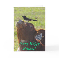 Many Happy Returns! cards