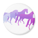 Many Horses (purples) magnets