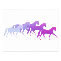 Many Horses (purples) Post Cards