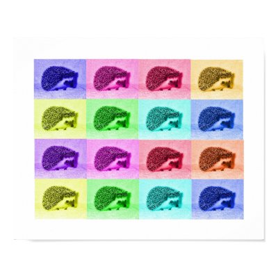Many Hues of Hedgehogs Poster by nannyogg