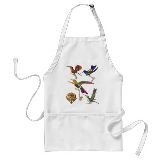 Many Multicolored Hummingbirds on an Apron
