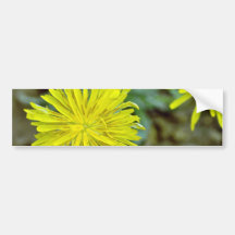Many-Petaled Yellow Flower With Stamens flowers Bumper Stickers