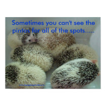 Many pintos poster posters by hedgehogworld Many pintos poster posters