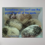 Many pintos poster