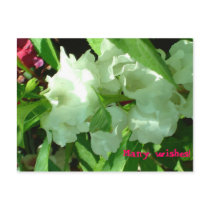 Many wishes! postcards
