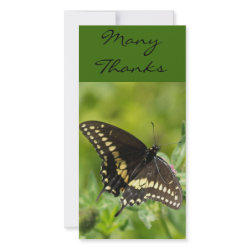 ManyThanks, TEYoung photocard