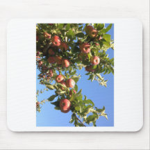 Manzanas del valle del Hudson Alfombrilla De Raton