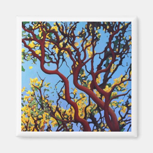 Manzanita in Autumn Magnet