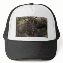 Manzanita Tree Trucker Hat