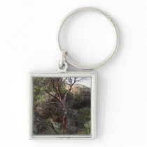 Manzanita Tree Key Chain
