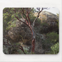Manzanita Tree Mouse Pad