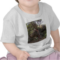 Manzanita Tree Tshirt