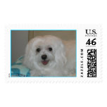Mao Mao postage