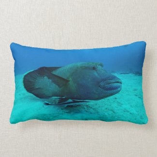 Maori Wrasse on the Great Barrier Reef Pillow